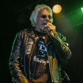Click to enlarge GutterPunk - Professional Concert Photography